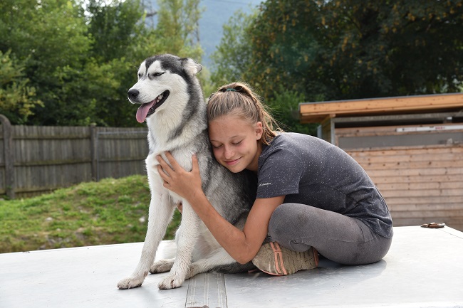 Husky-Erlebnistag-angebot