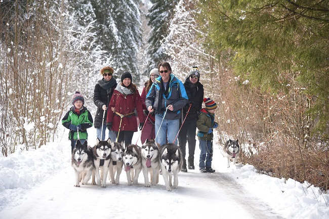 Husky-Winter-Wanderung